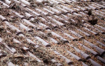 Houghton On The Hill roof cleaning companies