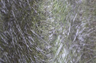 Houghton On The Hill fibreglass roof work